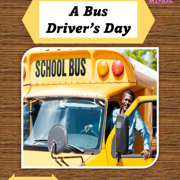 3 A Bus Driver's Day