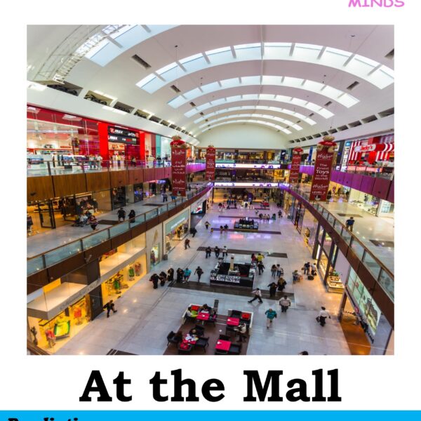 6 At the Mall