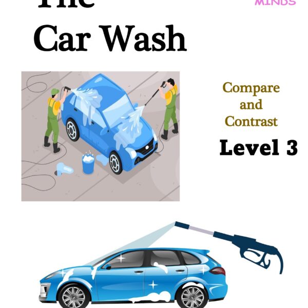 3 Car wash