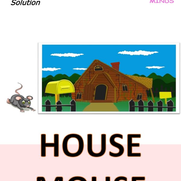 7 House Mouse