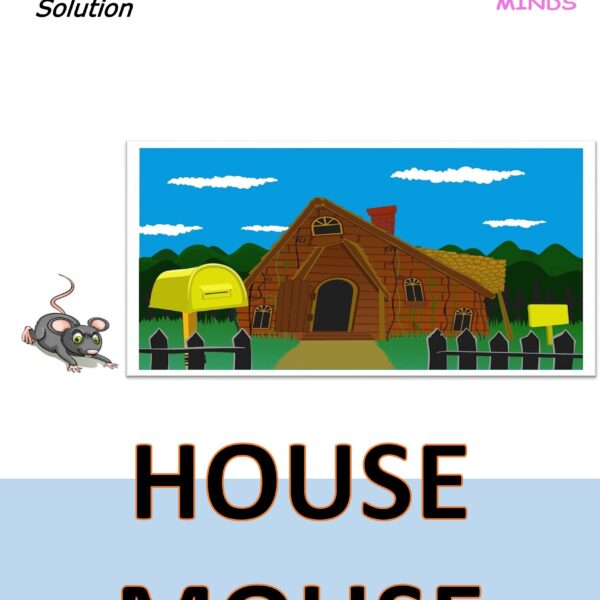 6 House Mouse