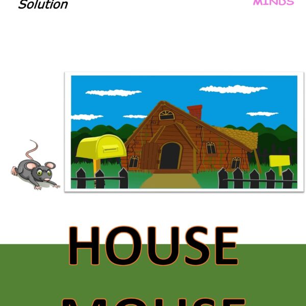 5 House Mouse