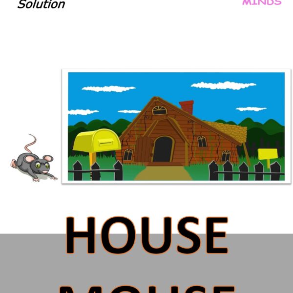 4 House Mouse