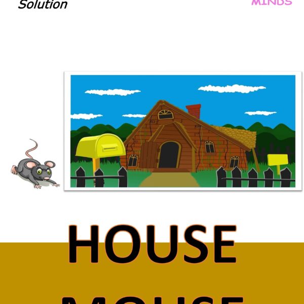 3 House Mouse