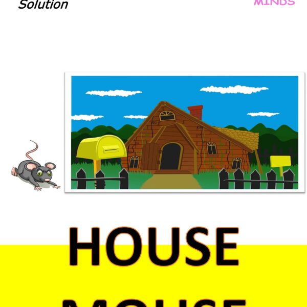 2 House Mouse