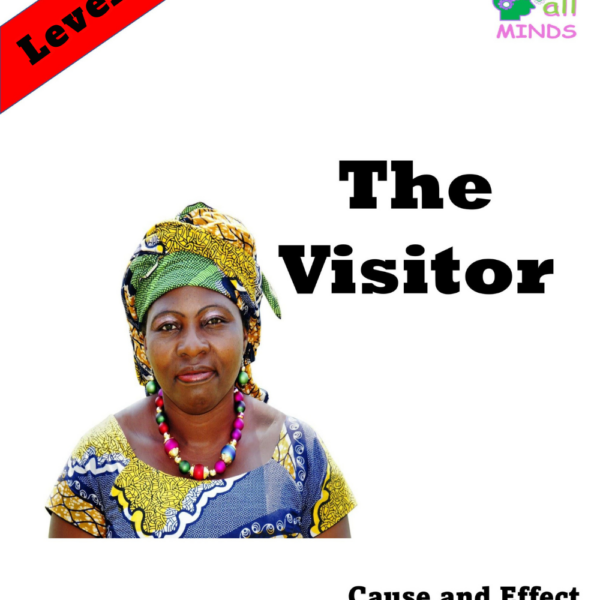 2 The Visitor