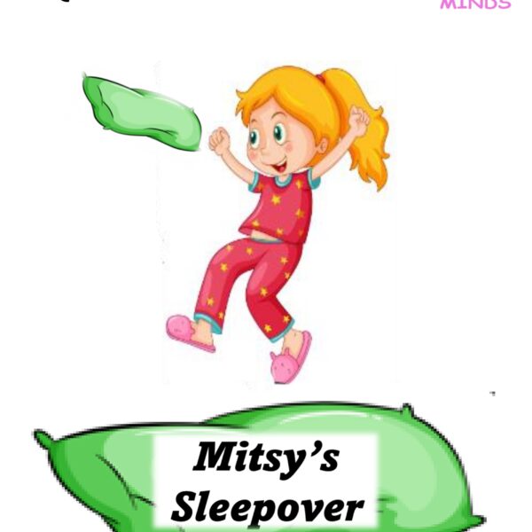 2 Mitsy's Sleepover