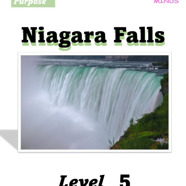 5 Niagara Falls