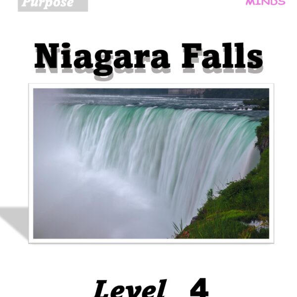 4 Niagara Falls