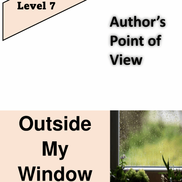 Outside My Window Level 7