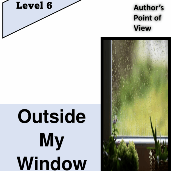 Outside My Window Level 6