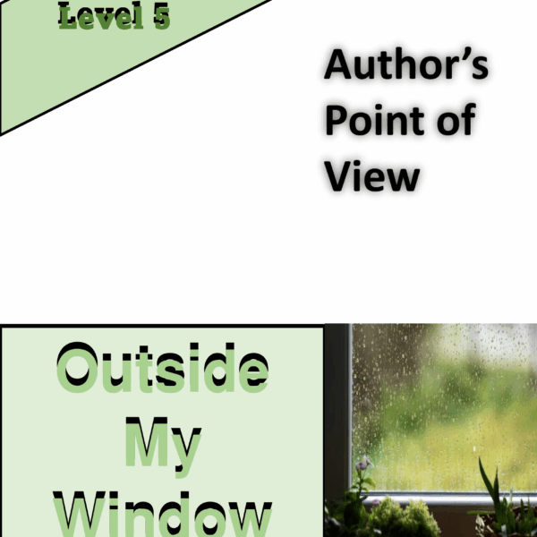 Outside My Window Level 5