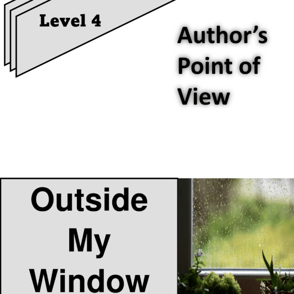 Outside My Window  Level 4