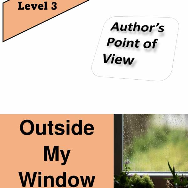 Outside My Window Level 3