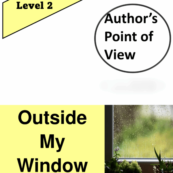 Outside My Window Level 2