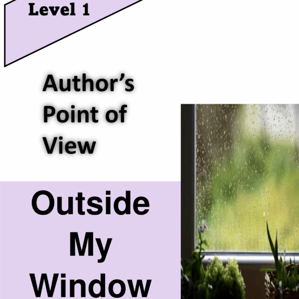 Outside My Window Level 1