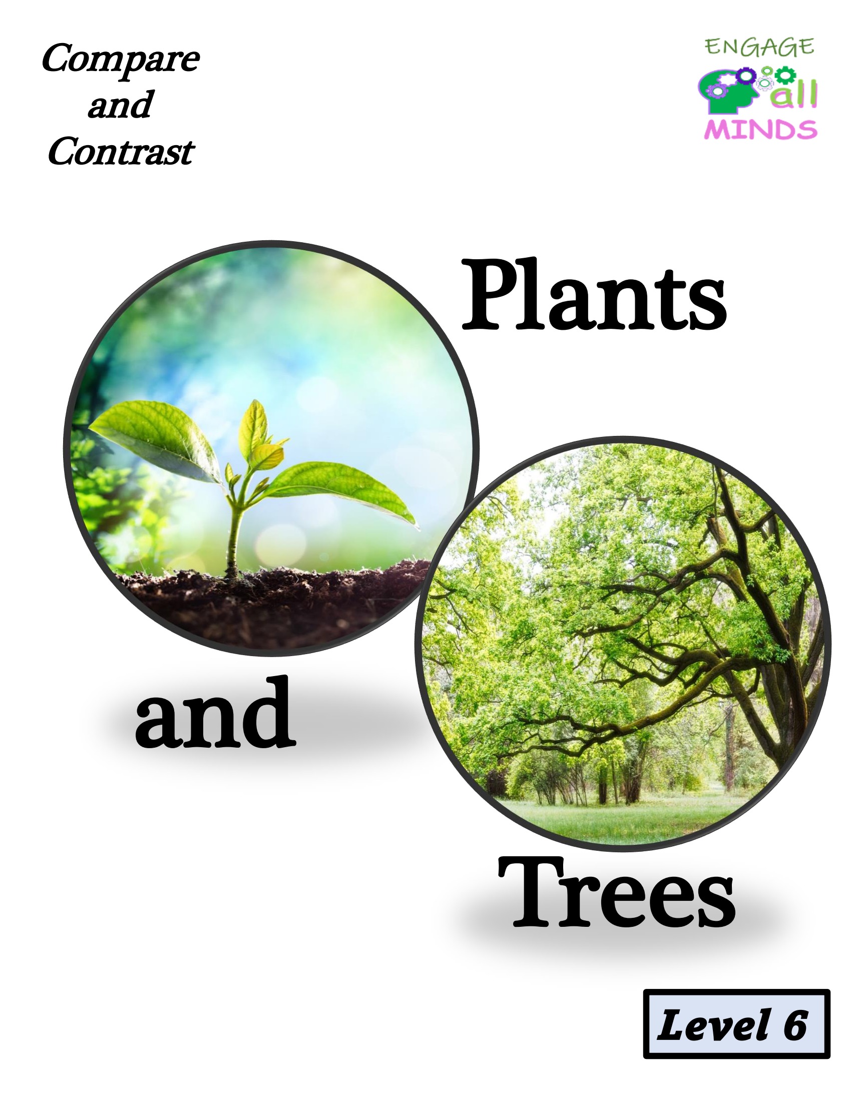 Plants and Trees.pdf-page2of7 6 Plants and Trees - Image 1