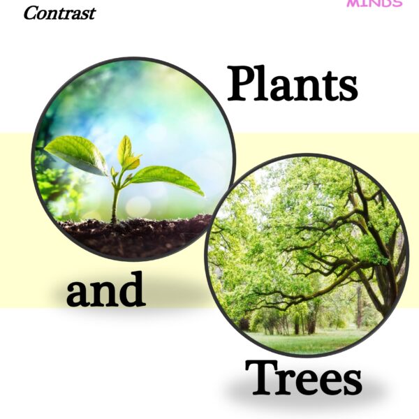 2 Plants and Trees