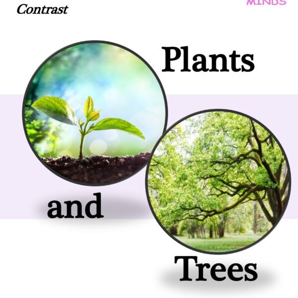 1 Plants and Trees