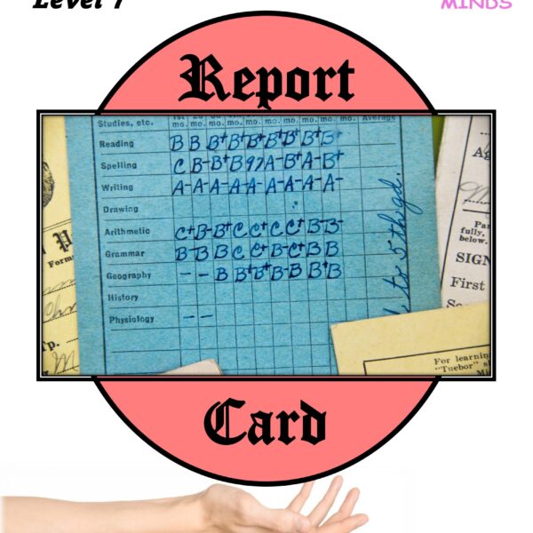 Report Card Level 7