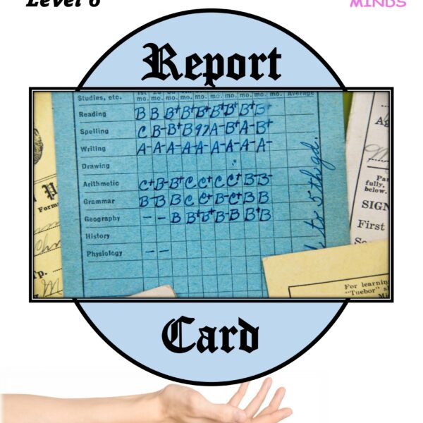 Report Card Level 6