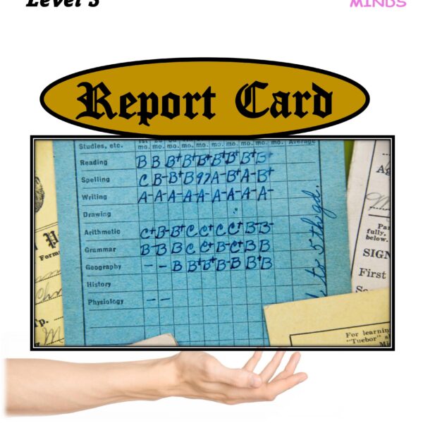 Report Card Level 3