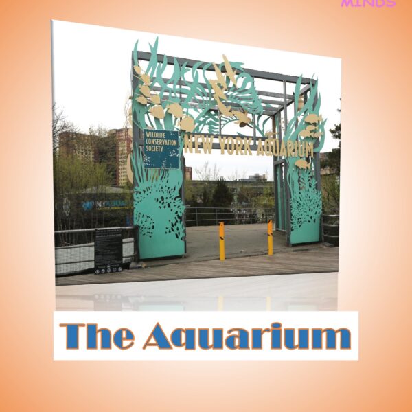 7 The Aquarium