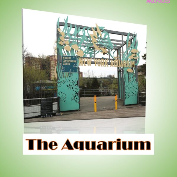 5 The Aquarium