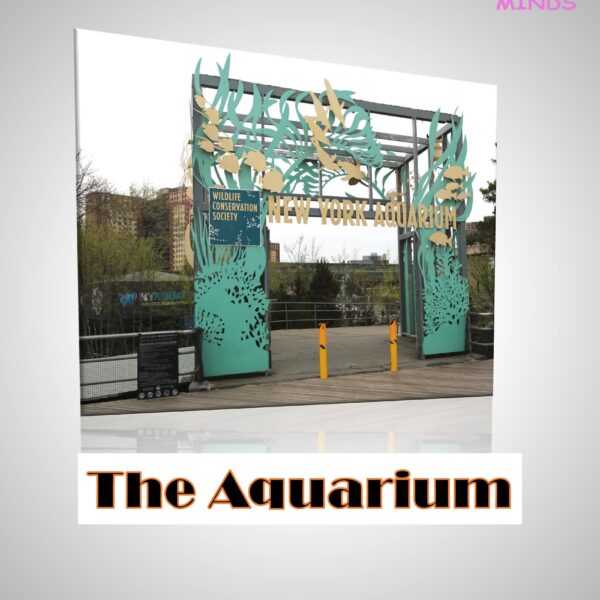 4 The Aquarium