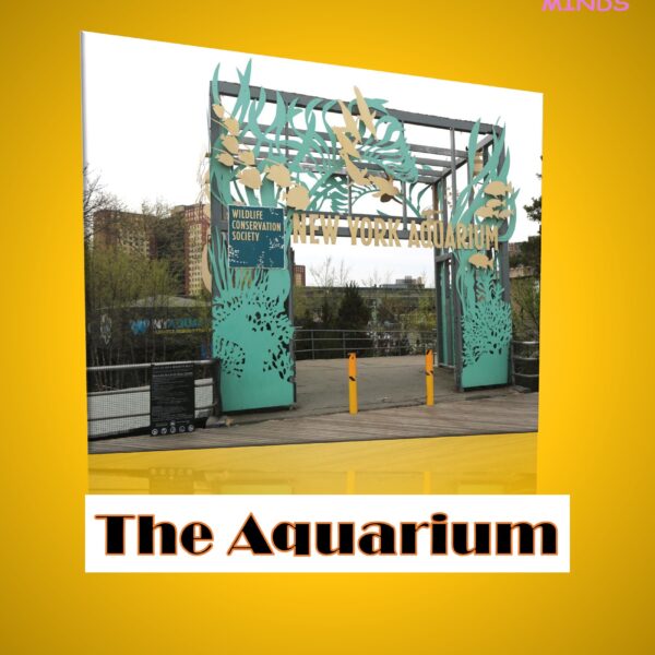 3 The Aquarium