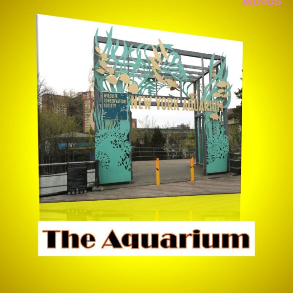 2 The Aquarium