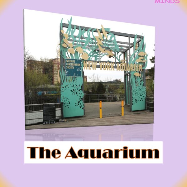 1 The Aquarium