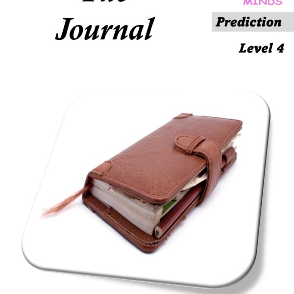 4 The Journal