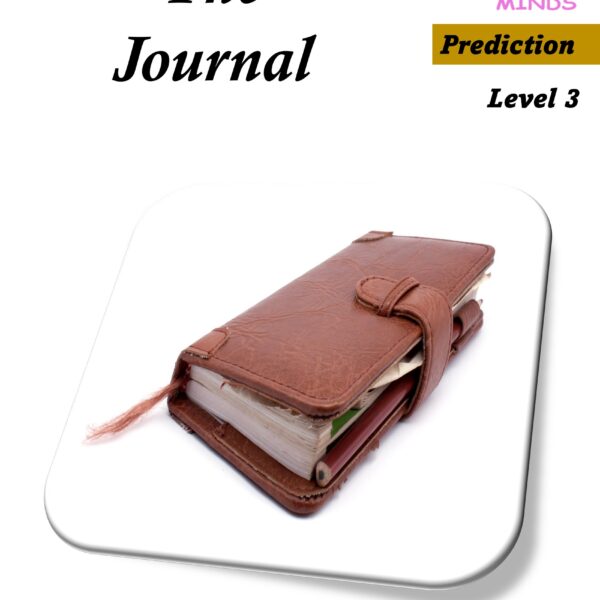 3 The Journal