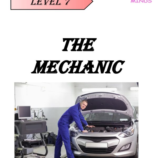 The Mechanic Level 7