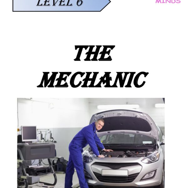 The Mechanic Level 6