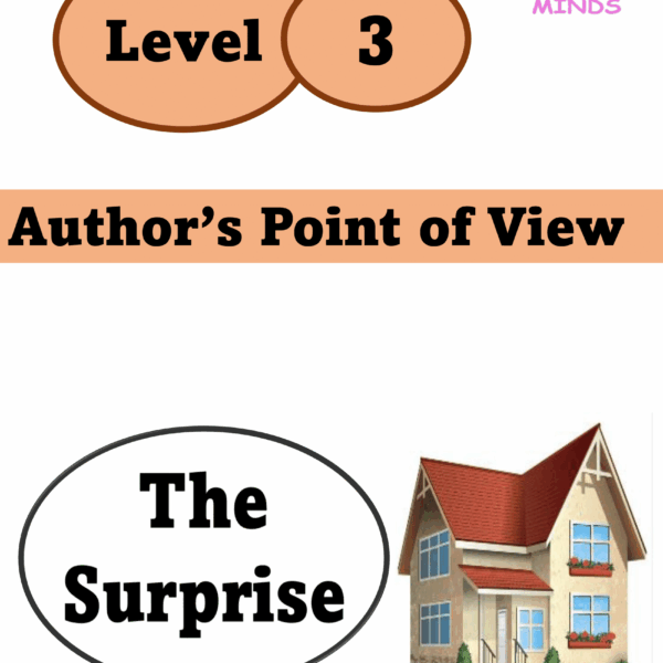3 The Surprise