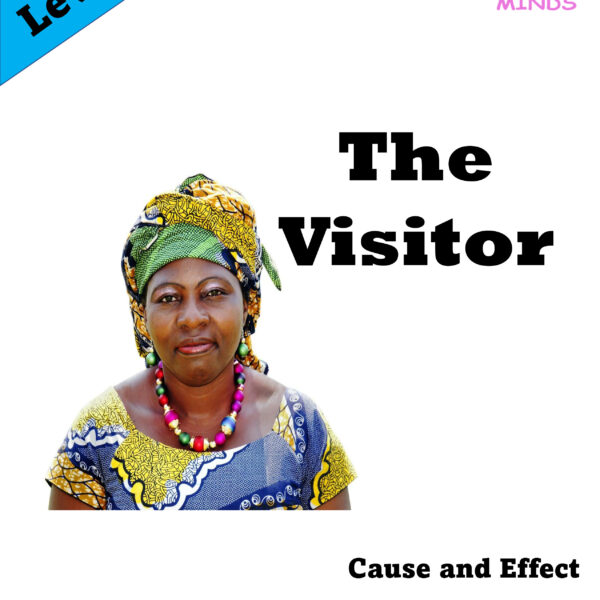 6 The Visitor