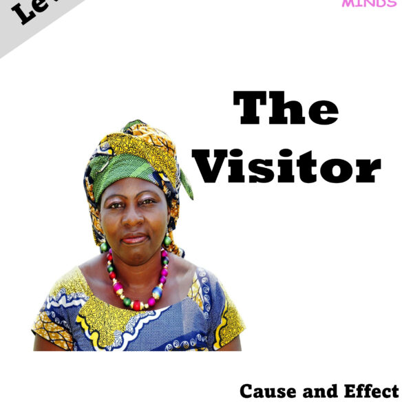 4 The Visitor