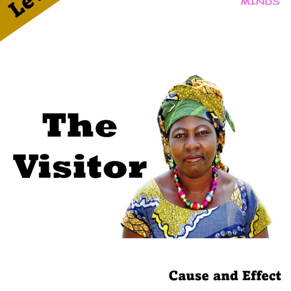 3 The Visitor