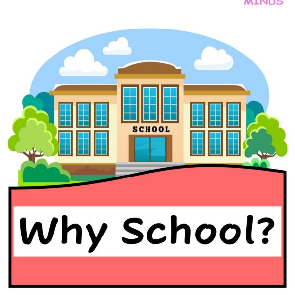 7 Why School