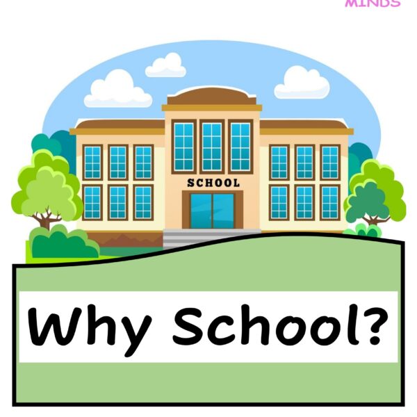 5 Why School