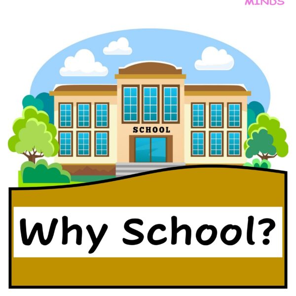 3 Why School