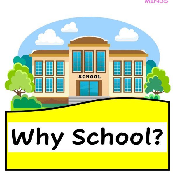 2 Why School