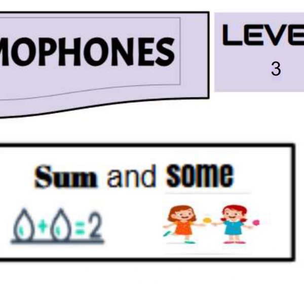 Homophones 2 Level 3