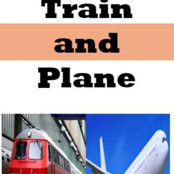 Train and Plane Level 3