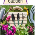 The Garden