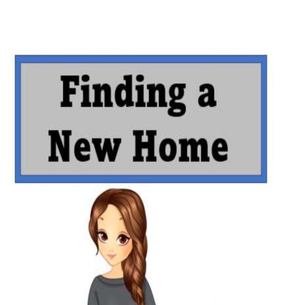 Finding A New Home Level 4