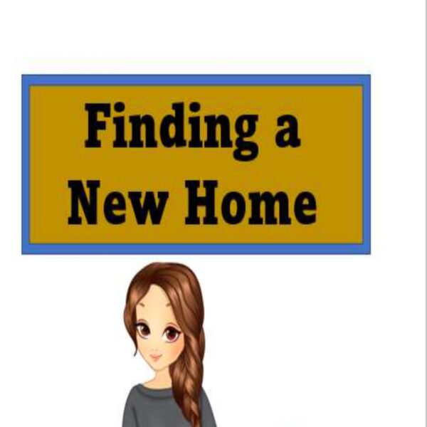 Finding A New Home Level 3