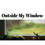 Outside My Window